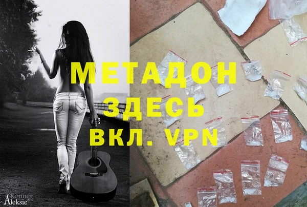 индика Алексин