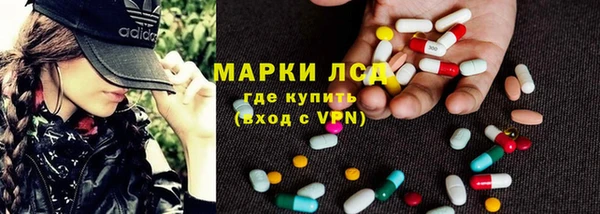 индика Алексин