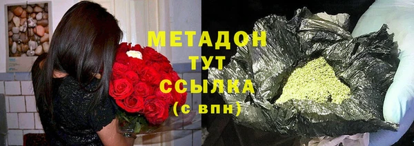 индика Алексин