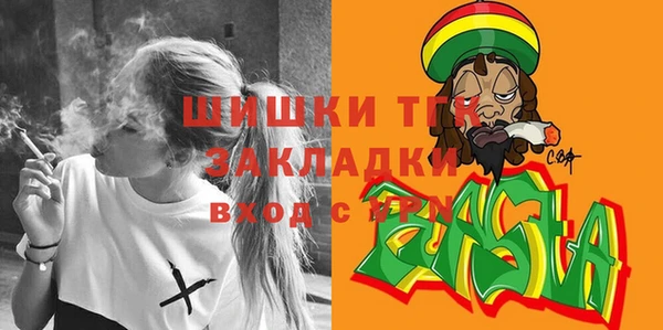 индика Алексин