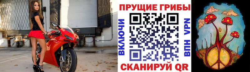Псилоцибиновые грибы прущие грибы  Менделеевск 